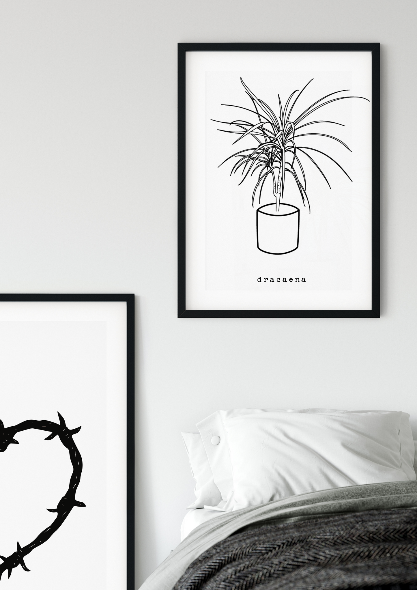 Minimal Dracaena Houseplant Print