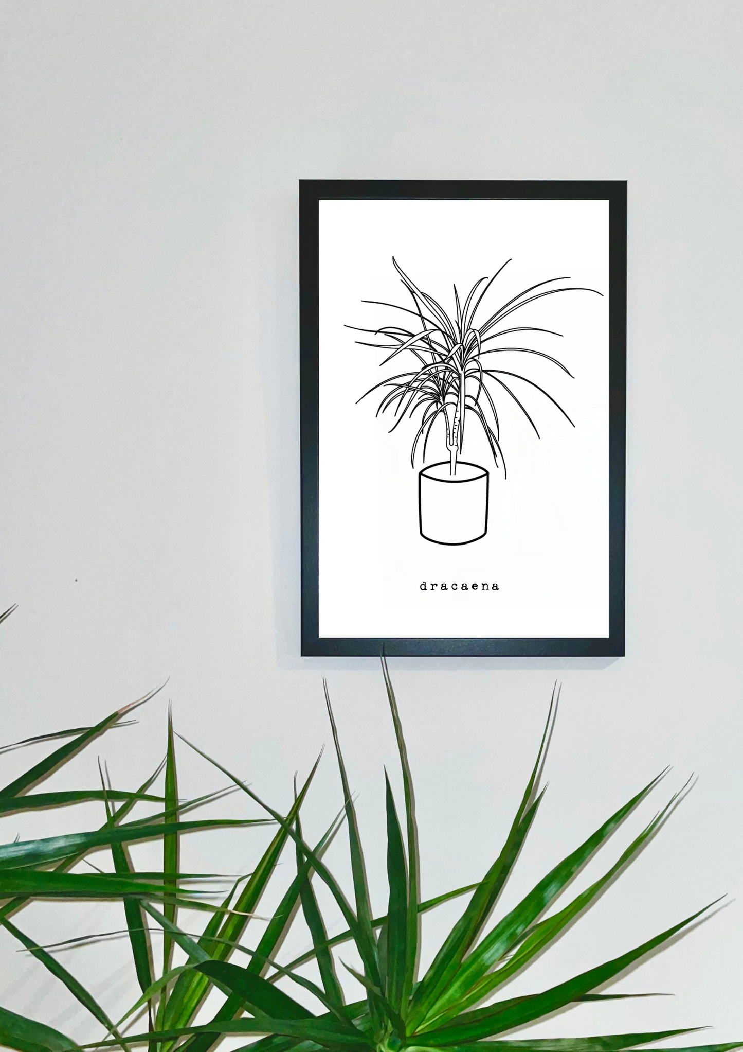 Minimal Dracaena Houseplant Print