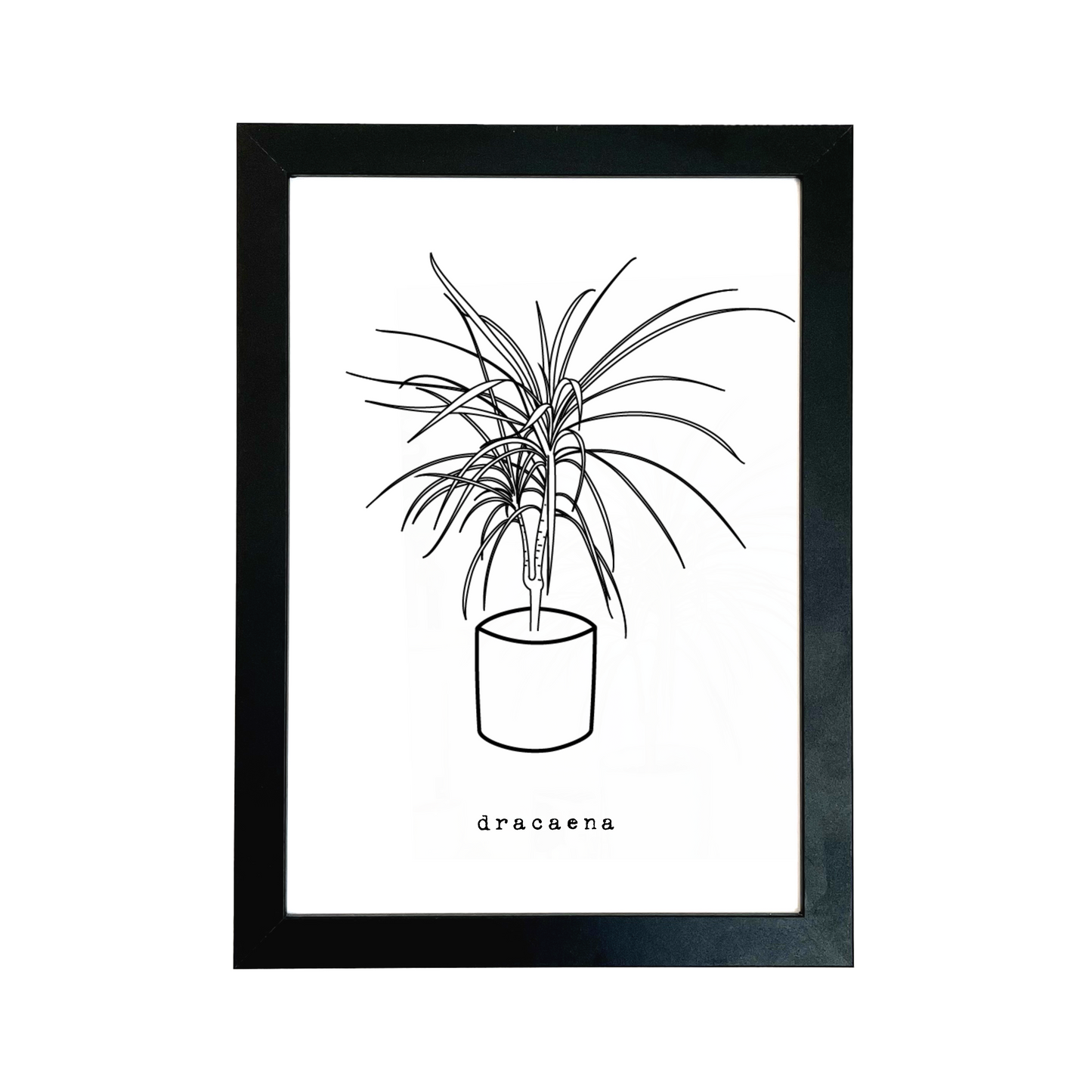 Minimal Dracaena Houseplant Print