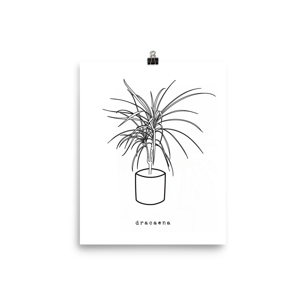 Minimal Dracaena Houseplant Print